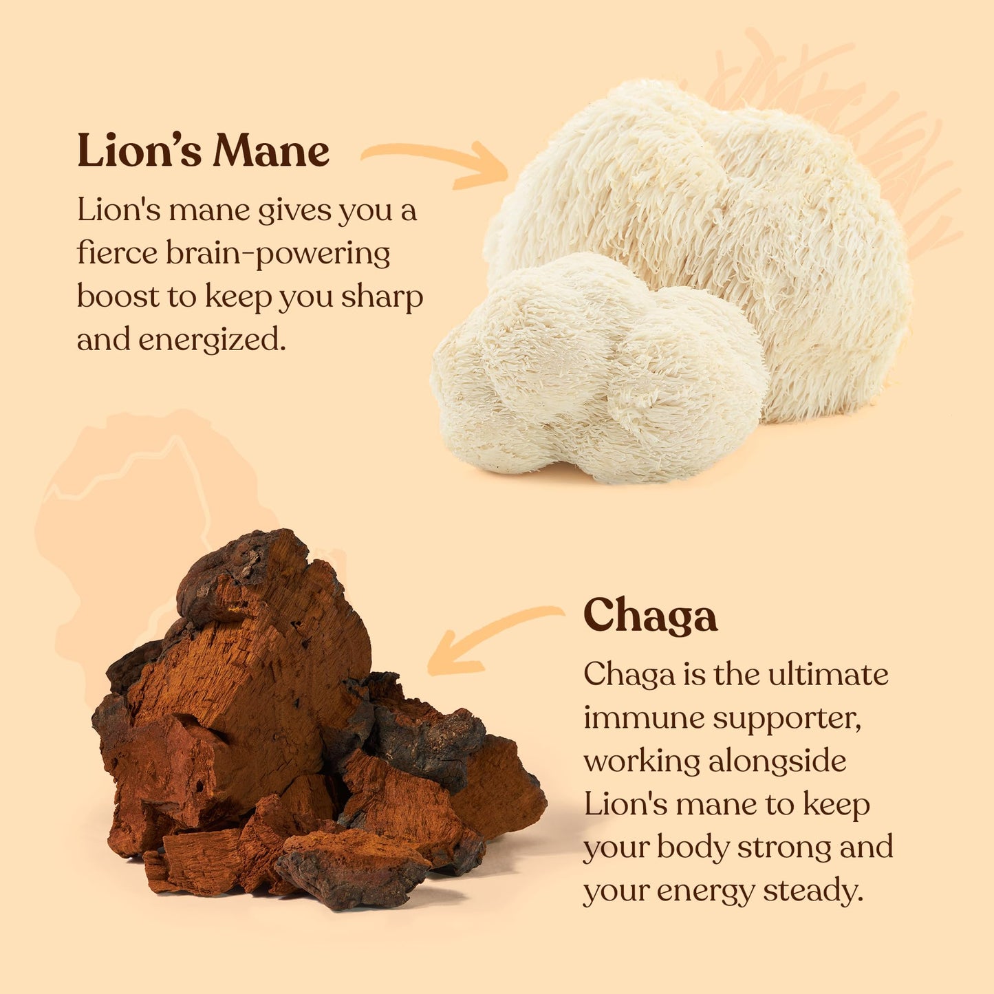 Four Sigmatic Focus Mushroom Coffee | Organic Ground Coffee with Lion's Mane Mushroom and Chaga for Better Focus and Immune Support | 12oz Bag