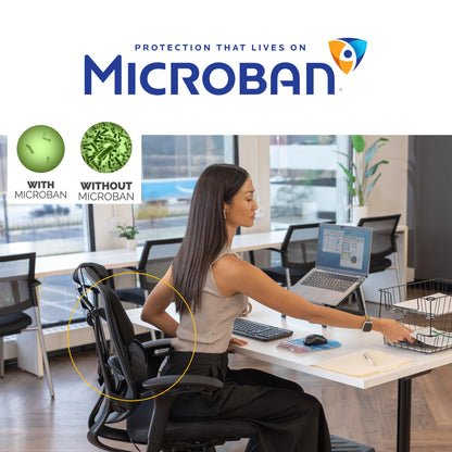 Fellowes Professional Series Back Support, Black (8037601)