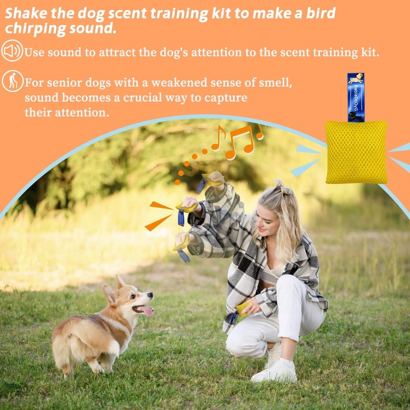 BabieDtOyG Dog Scent Training Kit with Squeaky Sound – Interactive Nose Work Toys for Dogs, Hide & Seek Scent Games | Mental Stimulation, Anxiety Relief & Obedience Training for All Ages (Yellow)