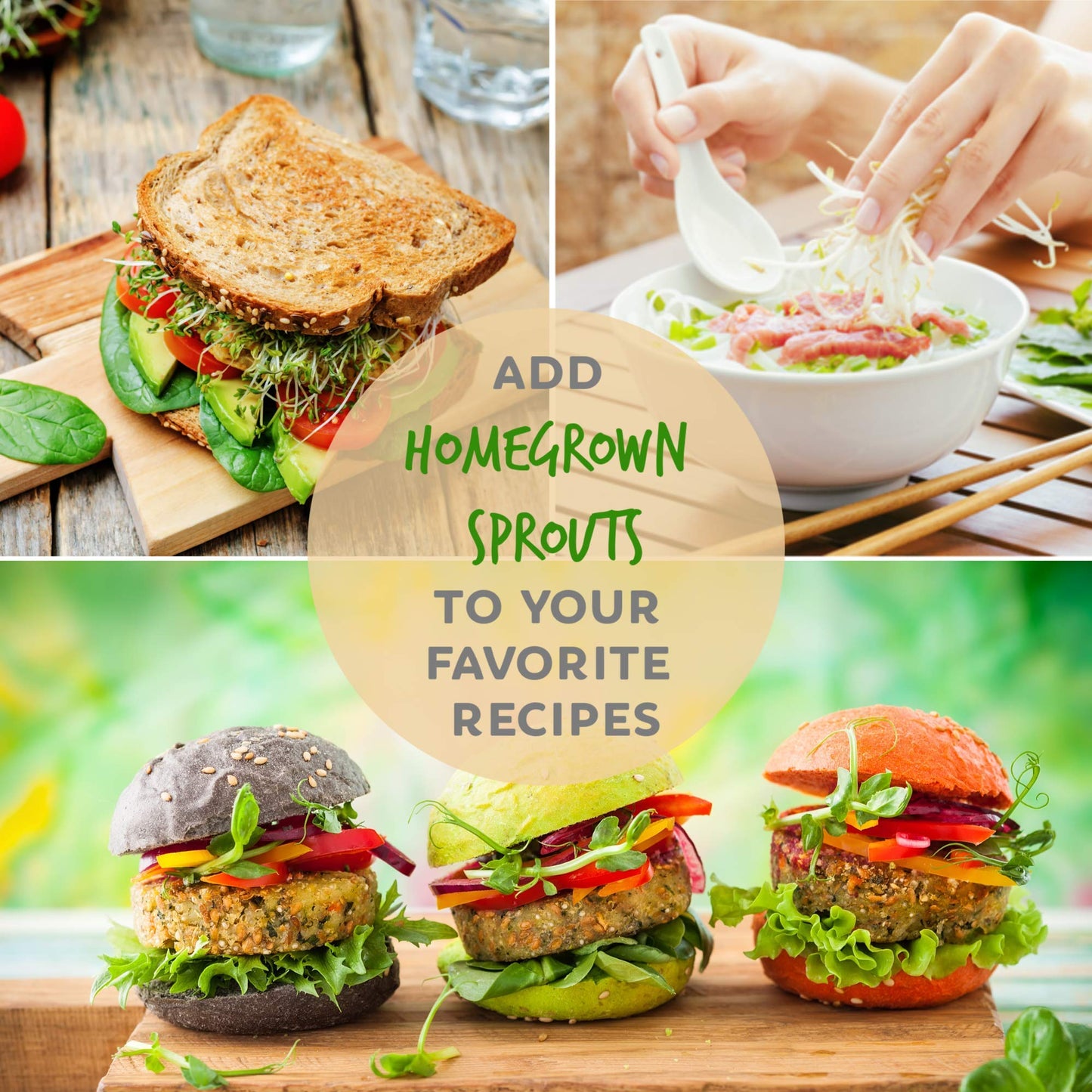 Handy Pantry Complete Sprouts Growing Kit | Sprouting Kit with 3 Stackable Sprouting Trays | Seed Sprouter, BPA-Free | Includes Organic Sprouting Seeds & Instructions