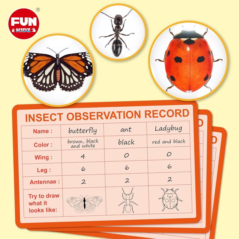 Bug Catcher Kit for Kids - Outdoor Science Activity with Magnified Viewer | Includes Net, Tweezers & Record Lists for Ages 3-12