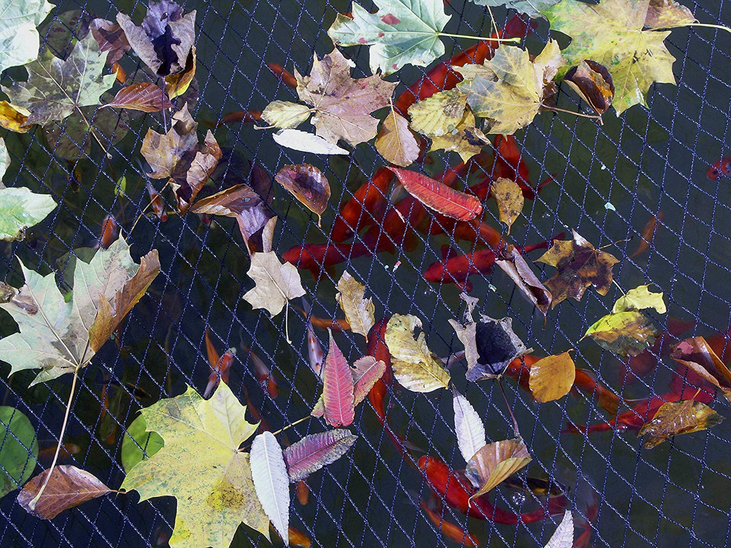 Blagdon 1022378 Clearview Pond Cover Netting, Strong Double Weave, Black, Fine, with 6 Fixing Pegs, Net Size 3m x 2m (10’ x 6’ 6”), Protects Pond