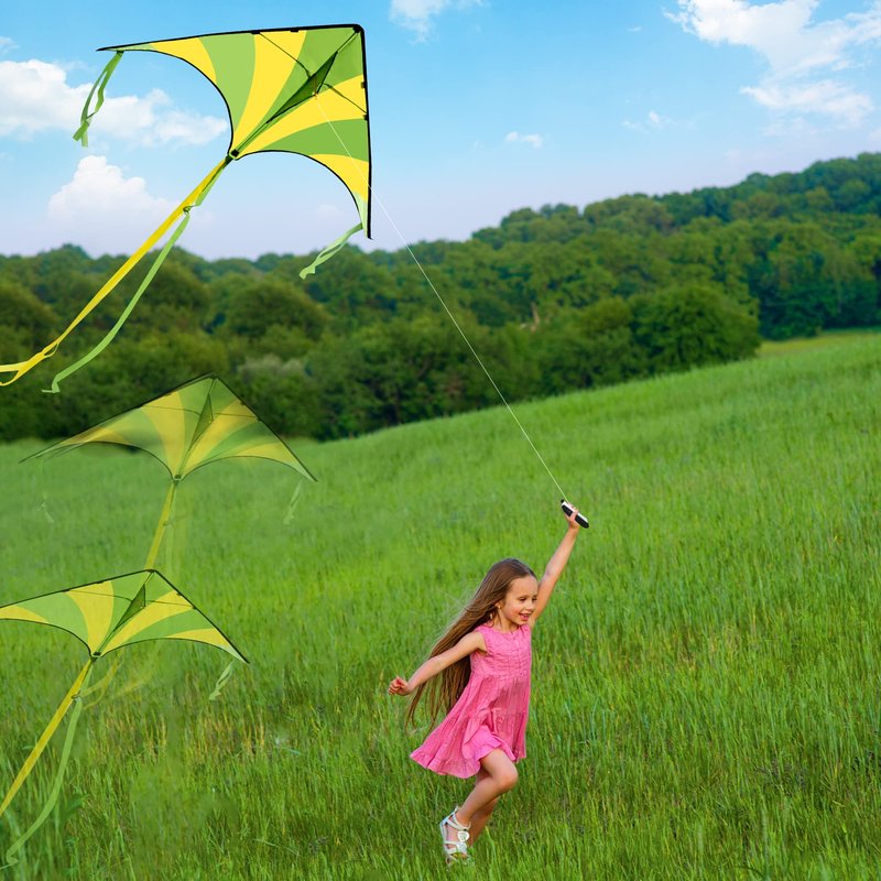 JOYIN 3 Packs Large Delta Kite Green, Blue and Rainbow, Easy to Fly for Kids with 262.5 ft String, Large Delta Beach Kite for Outdoor Games and Activities