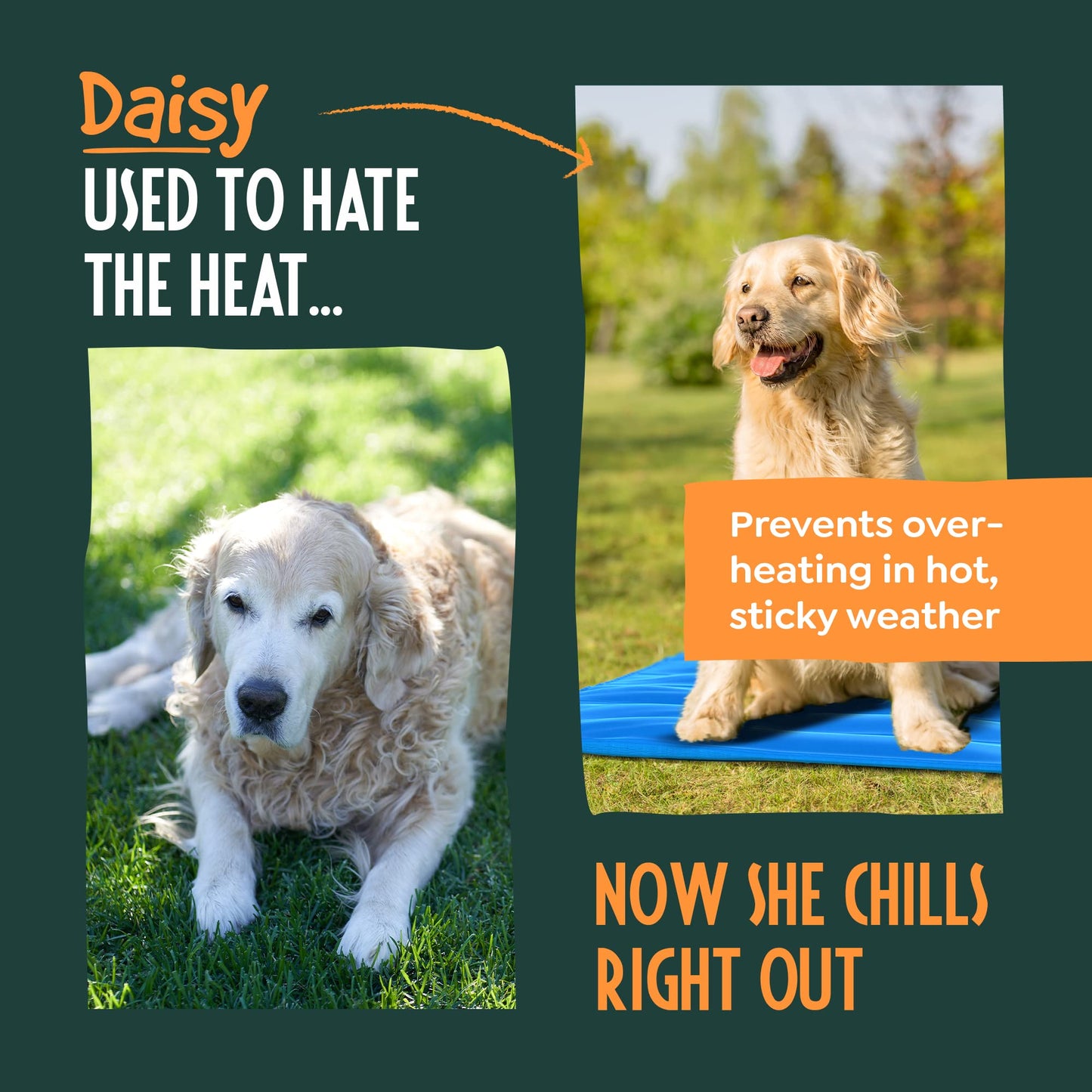 Cooling Pad Dog - Pet Cooling Mat for Dogs, Easy-Fold Cool Mat Dog Large 90x60cm, Cat and Dog Cooling Mat, Extra Pet Mat Cooling Gel, Dog Cooling Dog Cool Mat Bed, Cool Pad Dog