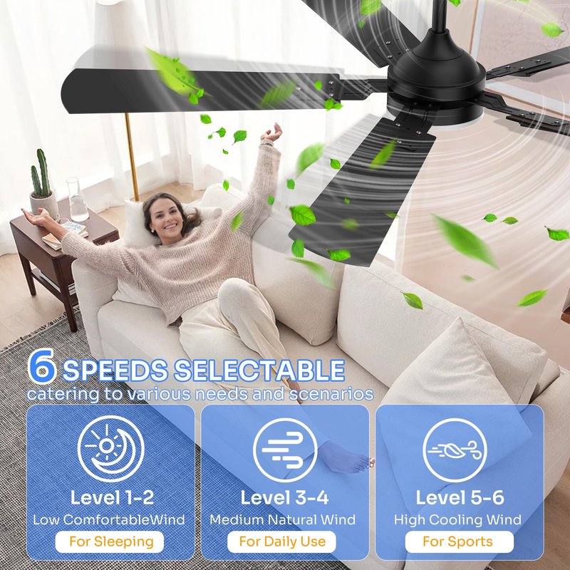 Crazypai Ceiling Fans with Lights, 52 Inch Modern Ceiling Fans with Lights and Remote Control, DC Reversible Motor, Noiseless, 3CCT, Ceiling Fan for Bedroom, Living Room, Apartment Indoor/Outdoor Use