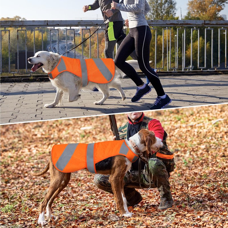 Orange High Visibility Safety Dog Vest, Hunting Jacket, Adjustable Soft Reflective Coat for Small Medium Large Dogs