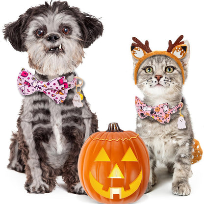 Faygarsle 2 Pack Breakaway Cute Halloween Cat Collar Collection Ghosts Pattern with Bell for Kittens Female Male Cats Seasonal Holiday Bowtie Fall Cat Collar Pink Purple