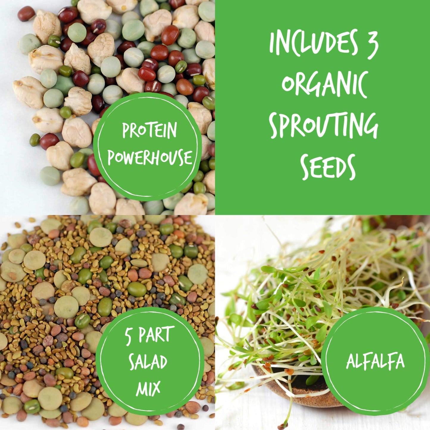 Handy Pantry Complete Sprouts Growing Kit | Sprouting Kit with 3 Stackable Sprouting Trays | Seed Sprouter, BPA-Free | Includes Organic Sprouting Seeds & Instructions
