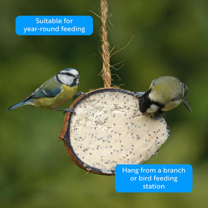 Coconut Bird Feeder Halves, Wild Bird Food for Small Birds with Suet, Dried Mealworms, Seeds, and Cereals, High Energy Food, Filled in the UK, Suitable for Year-Round Feeding - RSPB x 10 (320g)