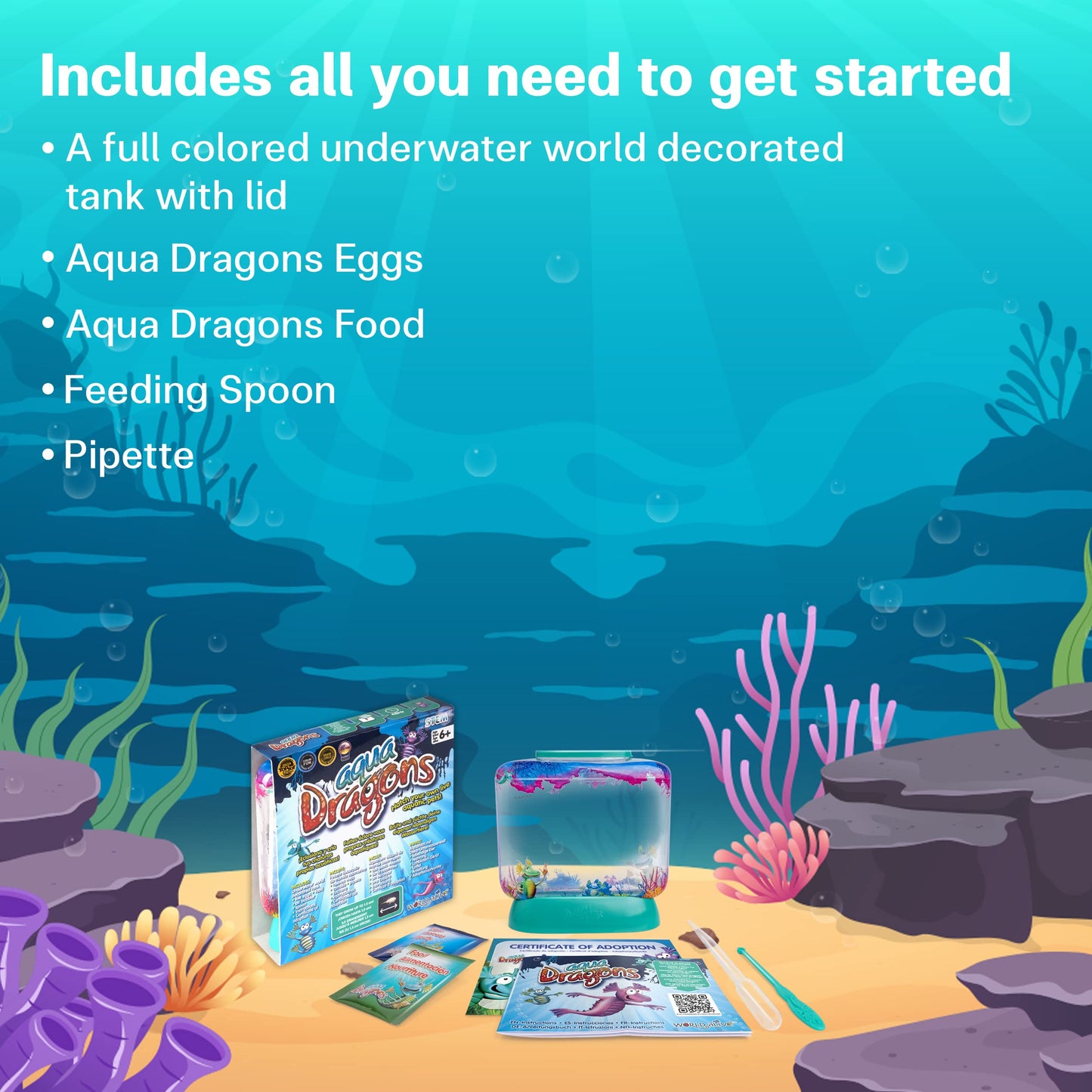 Aqua Dragons Underwater World Aquarium