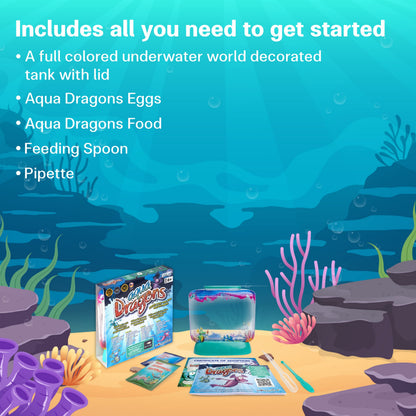 Aqua Dragons Underwater World Aquarium
