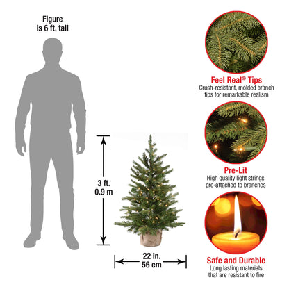 National Tree Company 3 ft Pre-Lit Nordic Spruce Mini Artificial Christmas Tree, 100 Clear Lights, 363 Tips, Burlap Base, Green