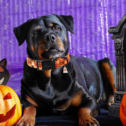 ARING PET Halloween Dog Collar, Ghost Pumpkin Spider Web Skeleton Pet Collars for Small Medium Large Girl Boy Dogs Puppy Collar with Quick Release Buckle-S Size