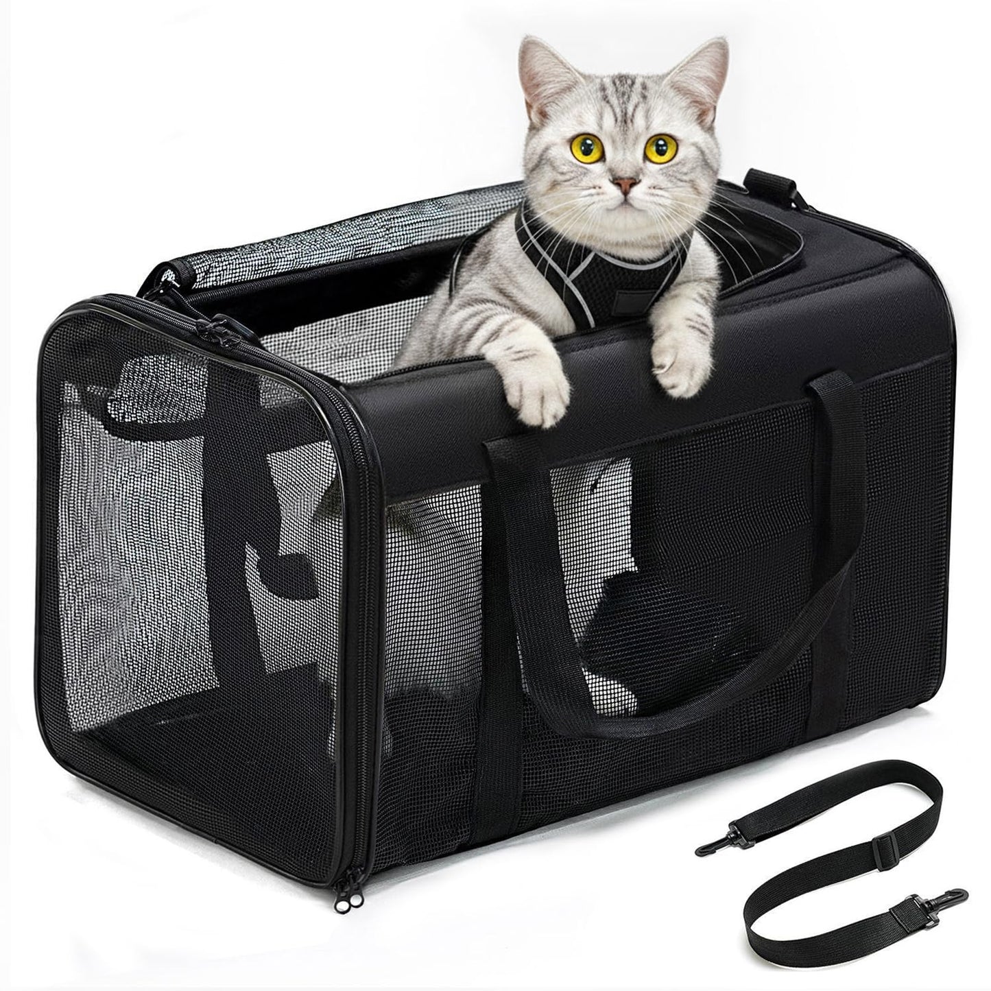 Conlun Cat Carrier Bag,Soft-Sided Pet Carriers for Dogs with 4-Sided Mesh,Airline Approved Cat Transport Carrier for Small&Medium Cats Kitten Puppy Up to 6Kg,Collapsible Cat Travel Carrier-M,Black