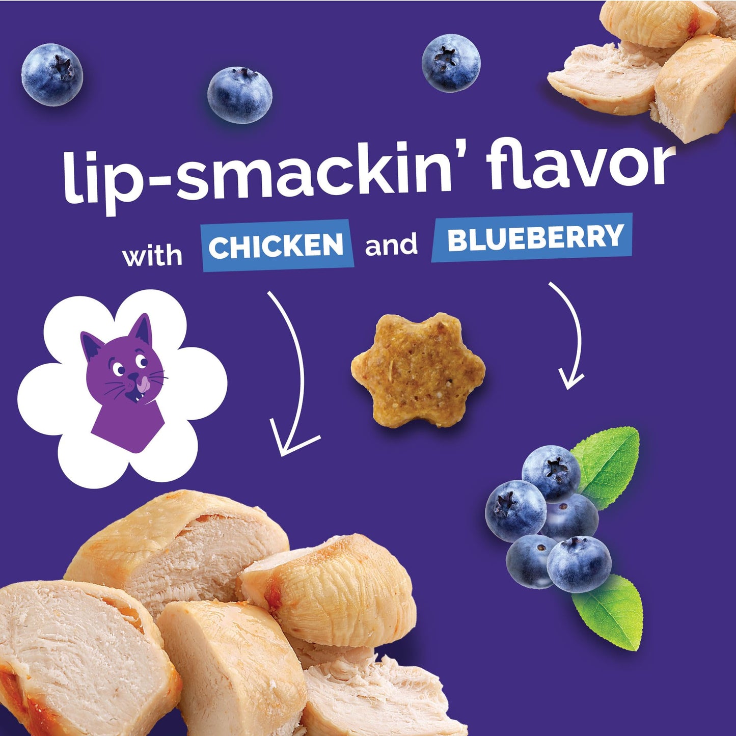 Fruitables Pumpkin Dog Treats, 7oz, Crunch Variety 12-Pack