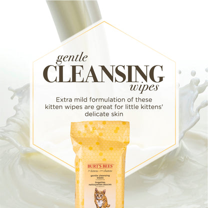 Burt's Bees for Pets Kitten Wipes with Buttermilk - Pet Wipes for Cats Waterless Bathing & Cleaning, Kitten Essentials for Indoor Kittens, Gentle Cat Grooming Wipe for Face, Paws & Butt, 50 Count