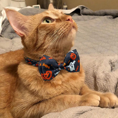 2 Pack Halloween Cat Collar with Bell, Holiday Jack-O-Lantern and Candycorn Collar for Kitty Kitten Male Female Cats (Jack-O-Lantern/Candycorn)