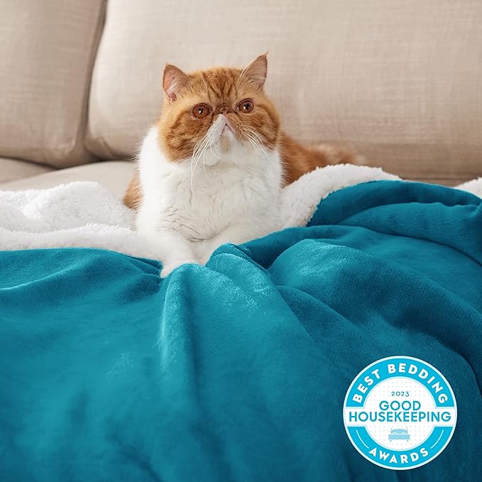 Bedsure GentleSoft Sherpa Fleece Throw Blanket Twin Size for Couch - Thick and Warm, Soft Fuzzy Plush Twin Blanket for Winter, Teal, 60x80 Inches