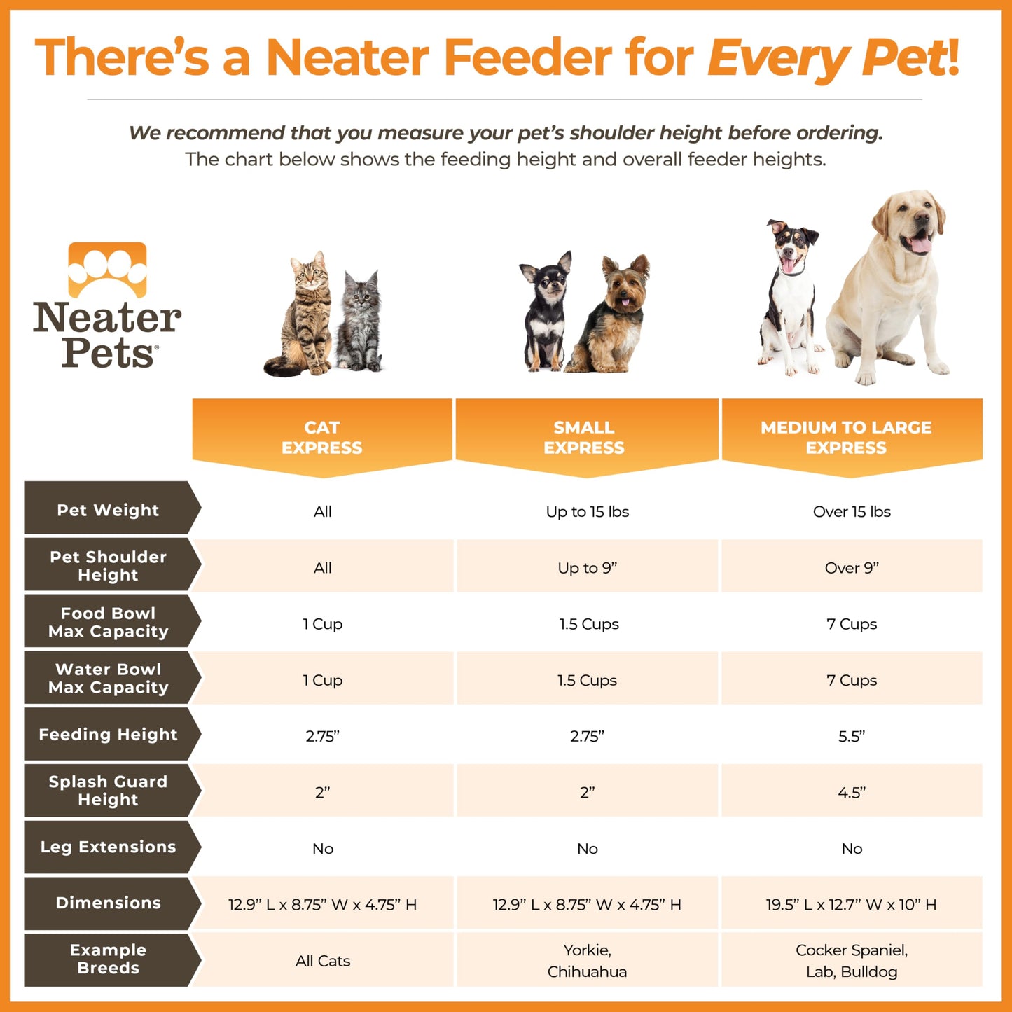 Neater Feeder Express Elevated Dog Bowls by Neater Pet Brands – Dog Bowls with Stand - Stainless Steel Food and Water Bowls – Raised Dog Bowl Set for Medium to Large Dogs, Midnight Black