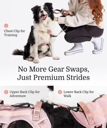2025 New Edition, Fei & Eve MagEase Dog Harness - Patented Magnetic Buckles | 3-Point No-Pull Control | Heavy-Duty 900D Nylon | Dual Safety Handles | Breathable Mesh | Adjustable Fit | Medium, Pink