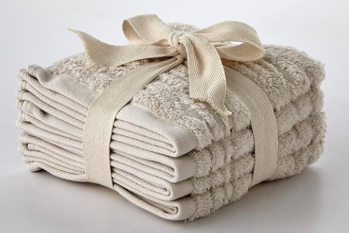 SKL Home CloudSoft Cotton Luxury 4-Piece Washcloth Set