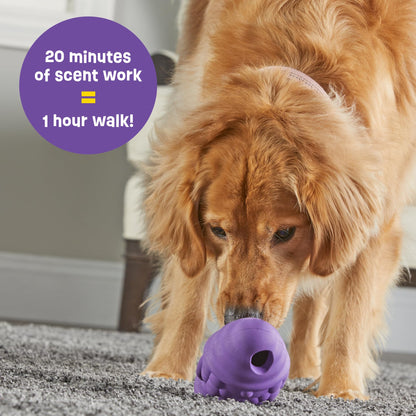 Brightkins Tough & Tumble Treat Dispenser Large Gnome - BPA Free Enrichment Treat Dispensing Dog Toy for Aggressive Play