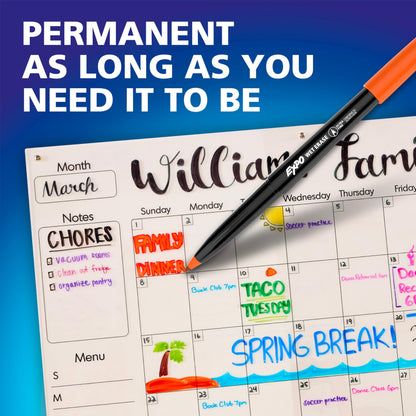 EXPO Visa Vis Wet Erase Markers Fine Point Black 12-Pack Ideal for Classroom and Homeschool Use