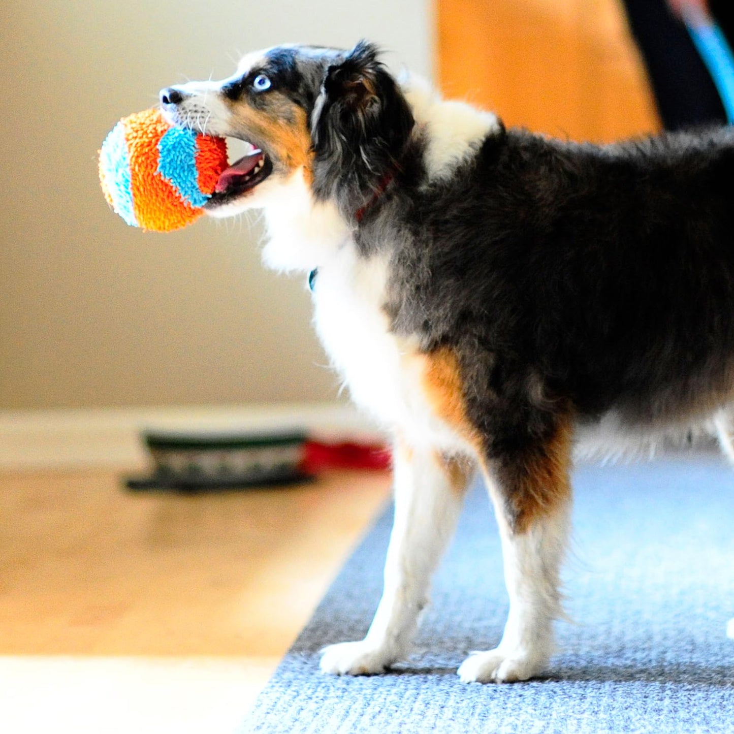 Chuckit! Indoor Dog Ball Dog Toys No Stuffing Dog Toys, Interactive Toys For Dogs Soft Ball Toy for Boredom, Medium 11cm