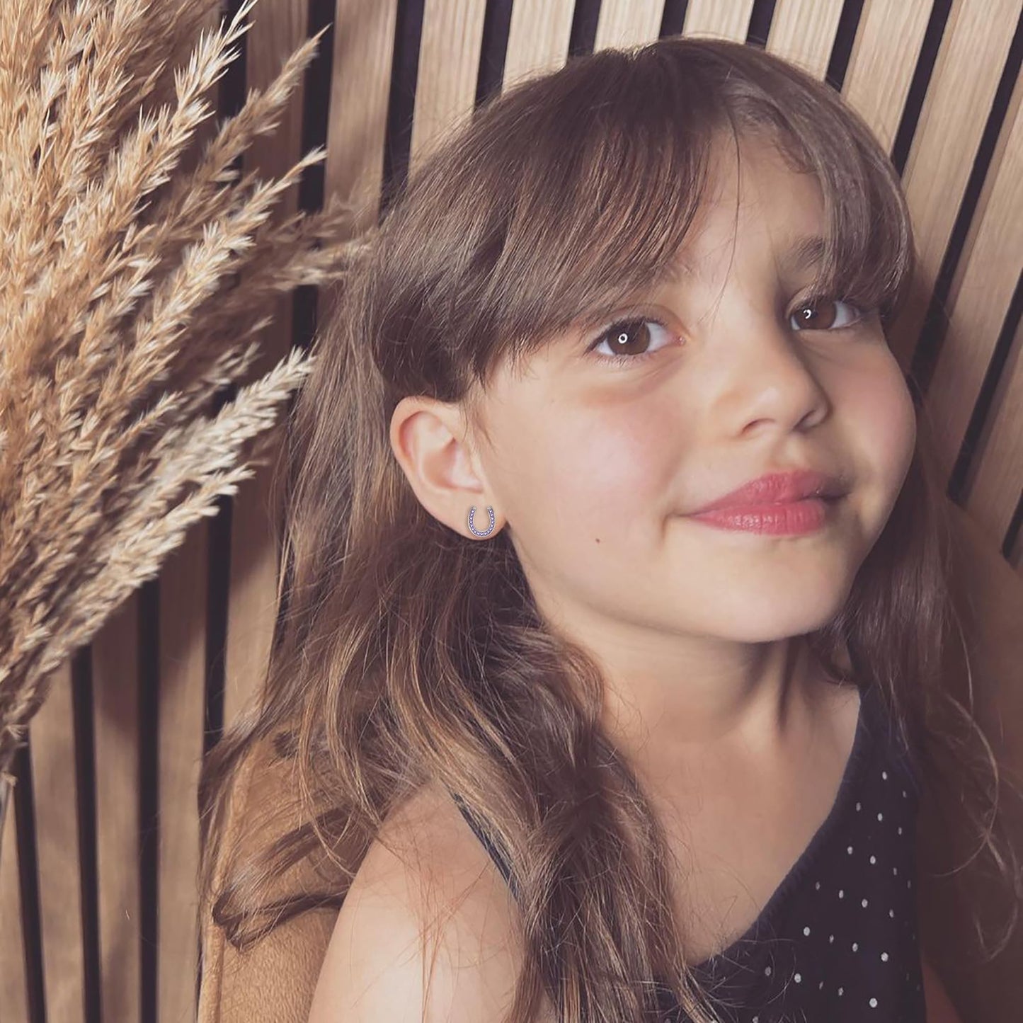 EVER FAITH 925 Sterling Silver Elegant Pave Setting Purple Cubic Zirconia Birthstone Lucky Horseshoe Stud Earrings