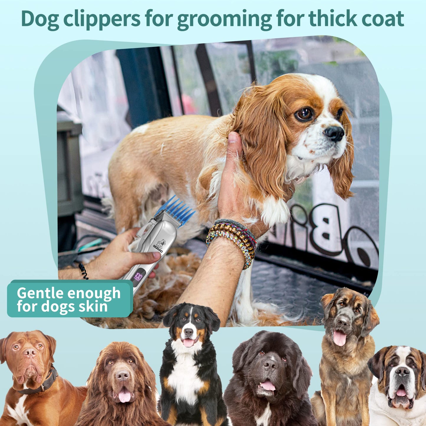 Gooad Dog Clippers for Grooming for Heavy Thick Hair&Coats, Dog Hair Trimmer,Low Noise Rechargeable Cordless Dog Grooming Kit Pet Shaver for Small Large Dogs Pets (Sliver)
