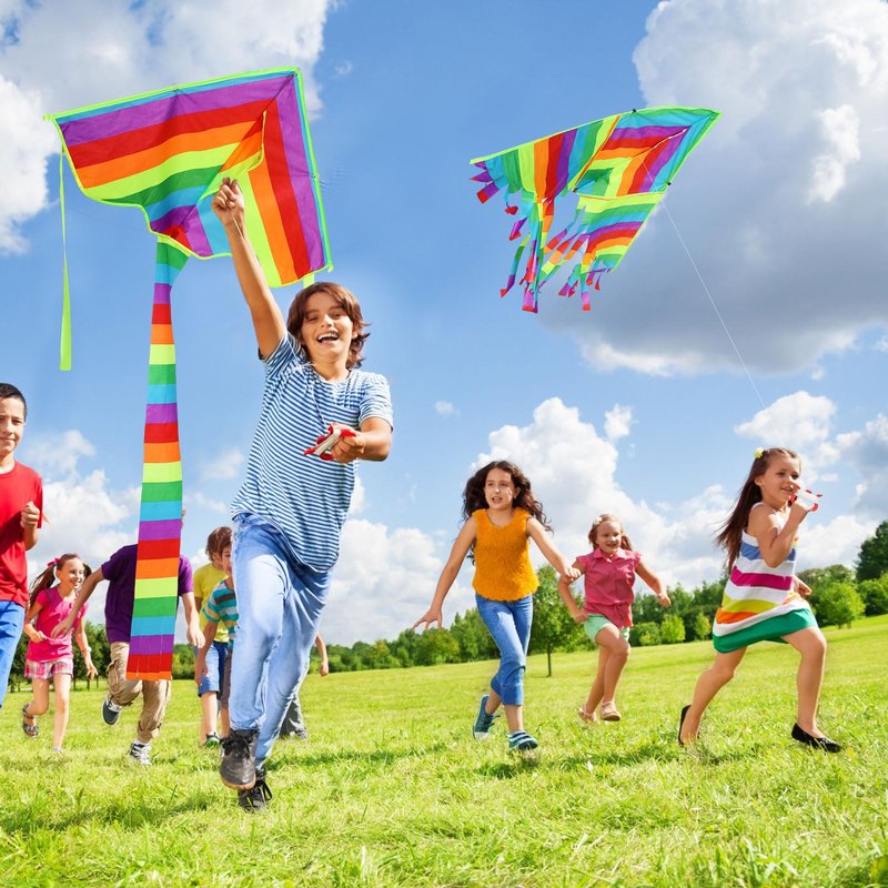 Foilswirl 8 Pack Kites for Kids Butterfly Fish Rainbow Delta Pattern with 8 Pcs 109 Yard Kite String Large Easy to Fly for Children Adults Spring Outdoor Beach Games
