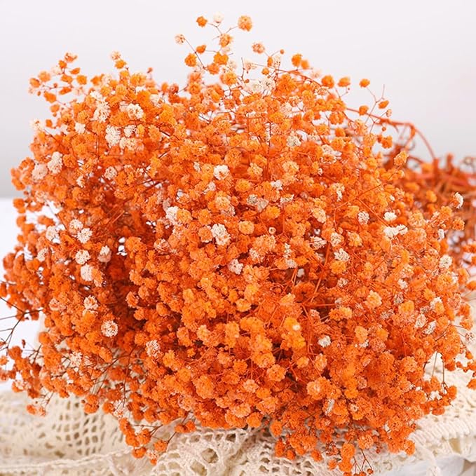 Dried Babys Breath Flowers Bouquet-17 Inch 2500+ Ivory Orange Dry Flowers, Natural Gypsophila Branches for Wedding Flowers, Table Vase Decor, DIY Wreath Floral, Home Office Party Garden Decoration