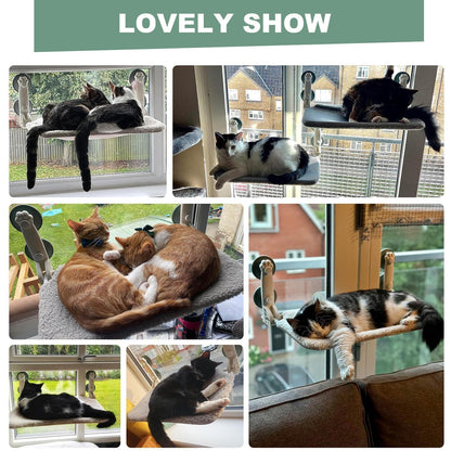 MEWOOFUN Cat Window Bed Hammock Large for 2 Cats - 60x30cm Foldable Cat Window Perch w/Reversible Mat, Upgrade Strong Suction Cups Sturdy Holds Up to 18kg, Beige
