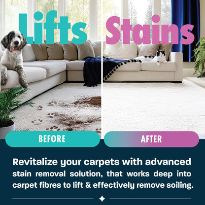 Dirtbusters Pet Pro Carpet Cleaner Shampoo Solution (5L) Deep Cleaning Stain Remover With Odour Neutraliser To Remove Dog & Cat Urine, Makes 500L Of Carpet Cleaner Solution