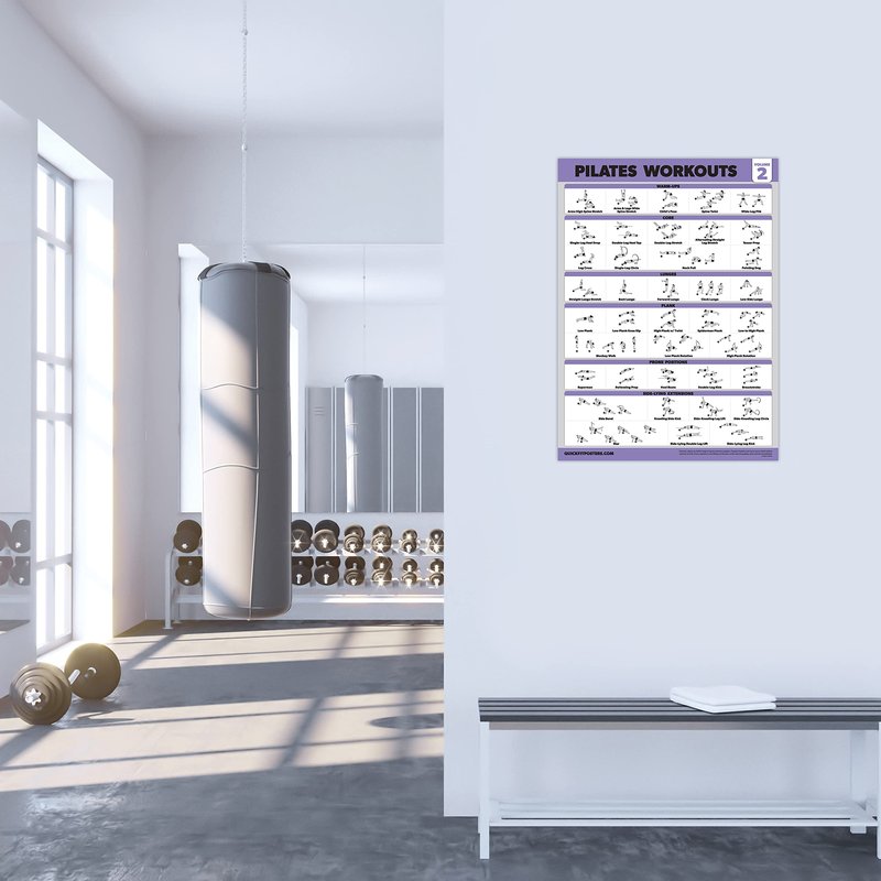 Palace Learning 3 Pack - Pilates Workout Posters Volume 1 & 2 + Yoga Poses - Pilates Mat Work Exercises - Fitness Chart Set (18' x 24", LAMINATED)