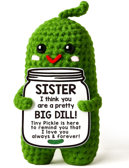 Valentines Day Gifts for Him Her Boyfriend Girlfriend, Handmade Crochet Pickle Valentines Gifts for Wife Husband, I Love You Birthday Gift To My Love Wedding Anniversary Romantic Gift for Couples