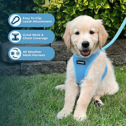 Best Pet Supplies - All Weather Mesh, Reflective, No Pull Harness for Small, Medium Dogs, Cats - Secure with Hook & Loop Fastener, Buckle, Double D-Rings - Baby Blue, S