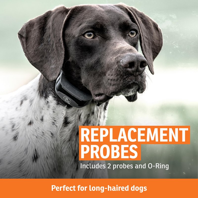 SportDOG Brand Long Contact Points – 5/8 Inch Replacement Probes E-Collars - Longer Length for Thick Coats