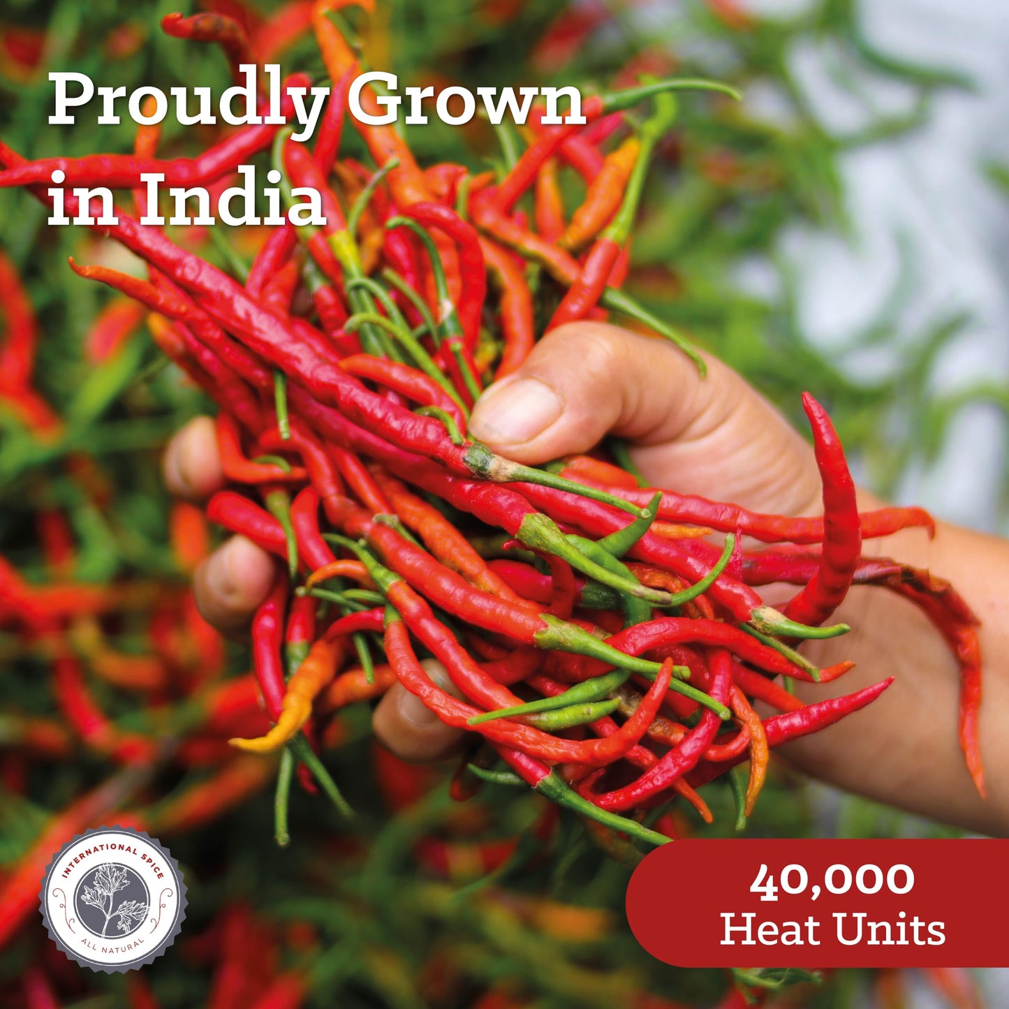 Cayenne Pepper 2 lb by International Spice