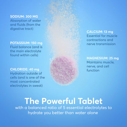 Nuun Sport Electrolyte Tablets - Dissolvable in Water, Mixed Flavors | 5 Essential Electrolytes for Hydration | 1g Sugar Drink Mix | Vegan, Non-GMO | 4 Pack (40 Total Servings)