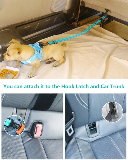 AUBELL Dog Seat Belt for Car,Updated 3-in-1 Adjustable Reflective Bungee Heavy Duty Dog Car Harness Tether with Clip Hook Latch & Buckle,Swivel Zinc Alloy Carabiner,Teal