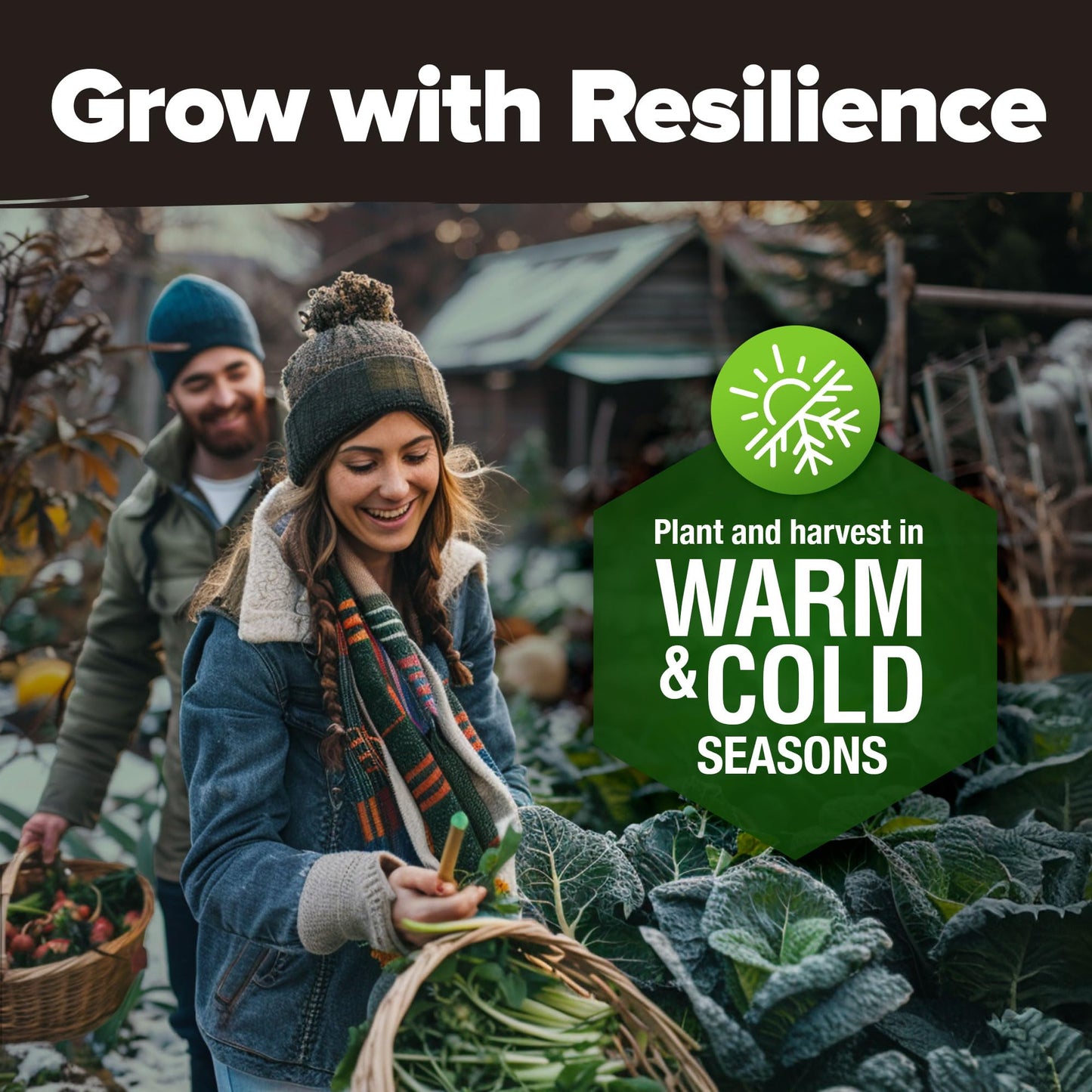 HOME GROWN 𝗨𝗦𝗔 𝗣𝗥𝗘𝗠𝗜𝗨𝗠 25 Heirloom Vegetable Seeds 12,000+ 𝗡𝗢𝗡-𝗚𝗠𝗢 Survival Garden Seeds Kit, High Germination Tomatoes Carrots Beans Kale Peppers, Giftable Indoor Outdoor Planting Set