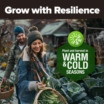 HOME GROWN 𝗨𝗦𝗔 𝗣𝗥𝗘𝗠𝗜𝗨𝗠 25 Heirloom Vegetable Seeds 12,000+ 𝗡𝗢𝗡-𝗚𝗠𝗢 Survival Garden Seeds Kit, High Germination Tomatoes Carrots Beans Kale Peppers, Giftable Indoor Outdoor Planting Set