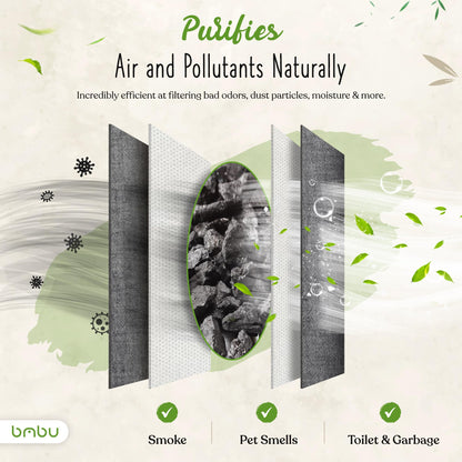 1000g Large Bamboo Charcoal Air Purifier Bag - Car Deodorizer Freshener - Remove Odor and Control Moisture in Your RV, Camper, SUV, Truck, Closet, Mobile Home, Storage - Non fragrant 1kg