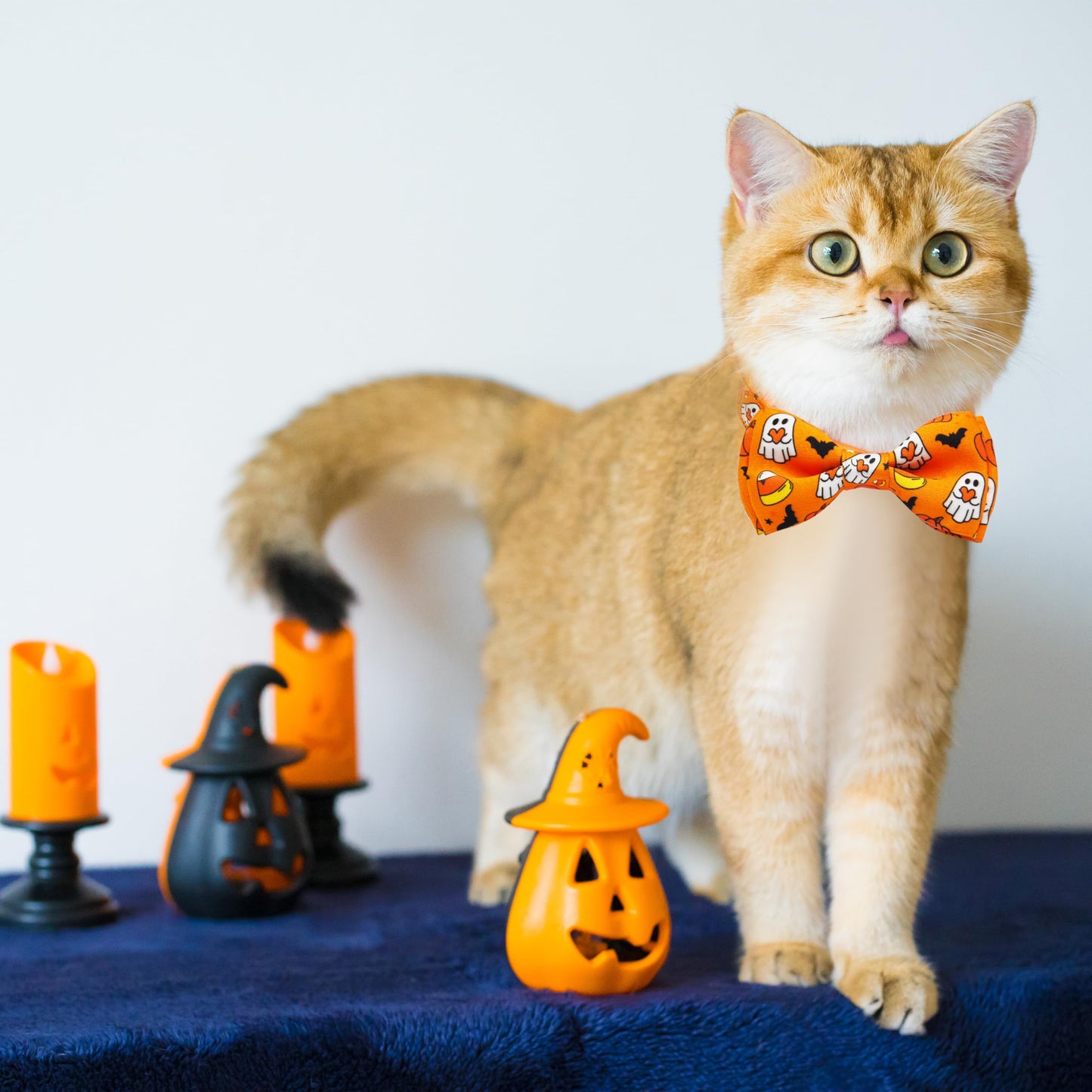 Halloween Cat Collar Set, 2 Pack Holiday Spooky Ghost & Pumpkin Adjustable Collars with Bow Tie & Bells, Safety Breakaway Buckle for Boys and Girls Kitties Kittens