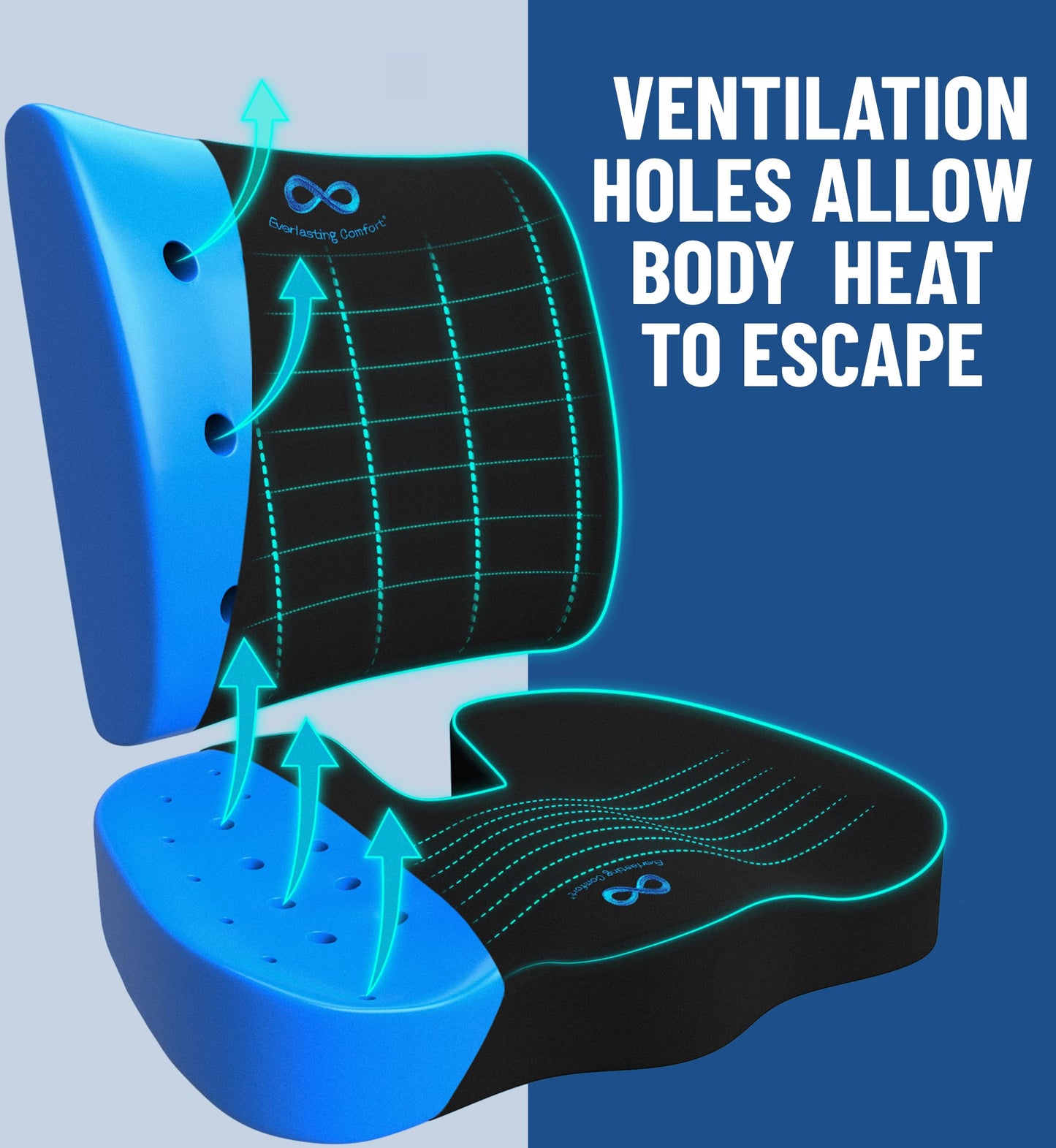 Everlasting Comfort Doctor Recommended Memory Foam Seat Cushion for Office Chairs & Car Seat - Ergonomic Office Desk Accessories for Tailbone Pain Relief, Sciatica & Back Support