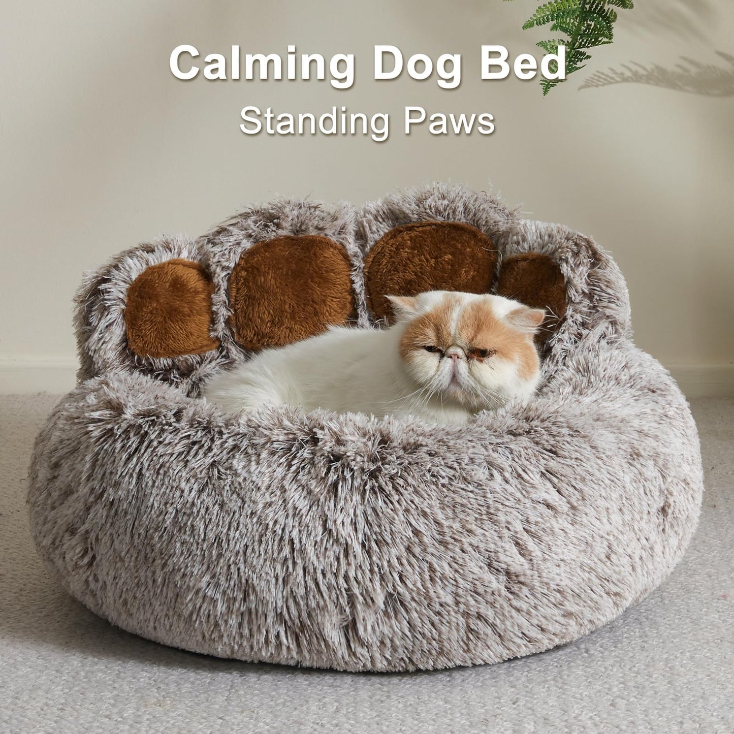 Jiupety Dog Bed with Standing Bear Paws | Cozy Comfy Dog Donut Bed | Gray M Size 22'X22' X6'