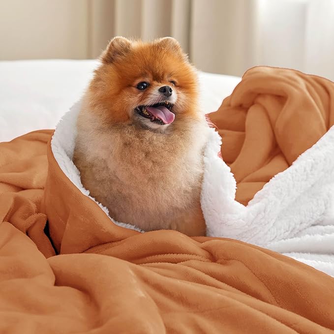 Bedsure GentleSoft Sherpa Fleece Blankets King Size for Bed - Thick and Warm, Soft Fuzzy Plush King Blanket for Winter, Burnt Orange, 108x90 Inches