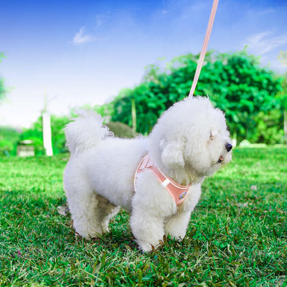 Hipubby Dog Harness and Leash Set, No Pull Soft Mesh Puppy Harness for Small Medium Dogs, Cats - Step in Adjustable Reflective Pet Harness with Buckle and Double D-Rings - Pink, XS