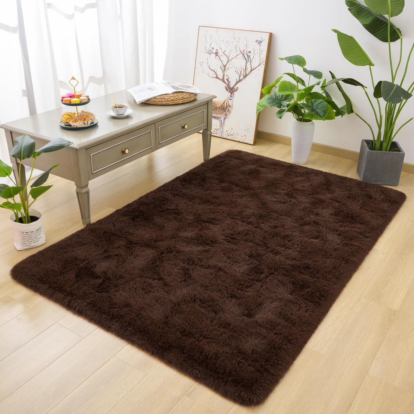 DETUM Fluffy Area Rug Coffee 4x6 for Bedroom Soft Living Room Rug Large Washable and Nonslip Carpets Modern Home Decoration
